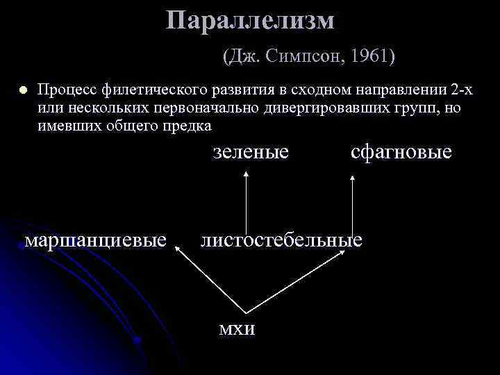 Параллелизм (Дж. Симпсон, 1961) l Процесс филетического развития в сходном направлении 2 -х или