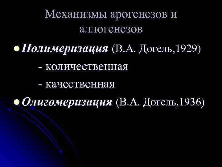 Механизмы арогенезов и аллогенезов l Полимеризация (В. А. Догель, 1929) - количественная - качественная