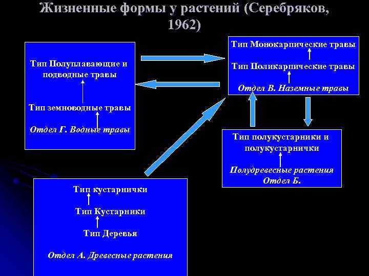 Жизненные формы у растений (Серебряков, 1962) Тип Монокарпические травы Тип Полуплавающие и подводные травы