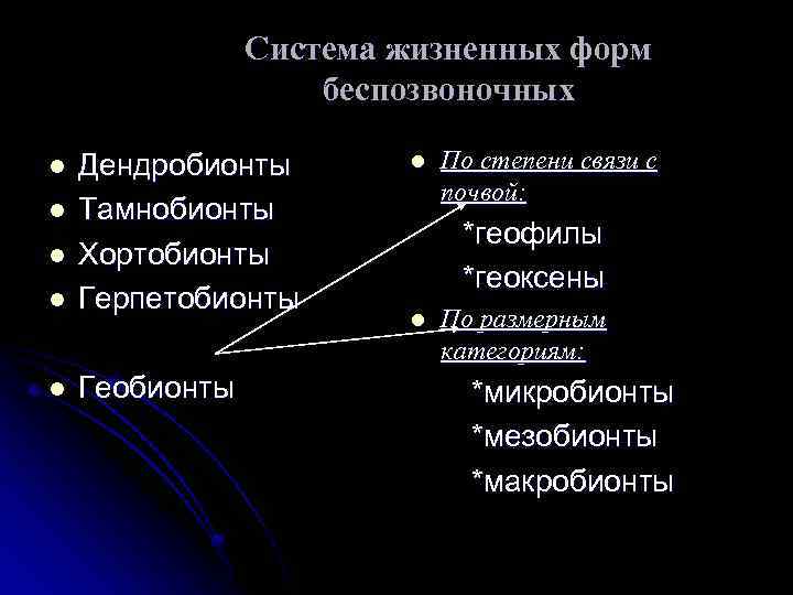 Система жизненных форм беспозвоночных l Дендробионты Тамнобионты Хортобионты Герпетобионты l Геобионты l l По