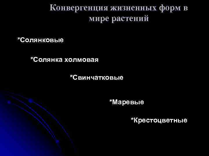 Конвергенция жизненных форм в мире растений *Солянковые *Солянка холмовая *Свинчатковые *Маревые *Крестоцветные 