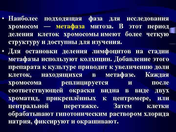  • Наиболее подходящая фаза для исследования хромосом — метафаза митоза. В этот период