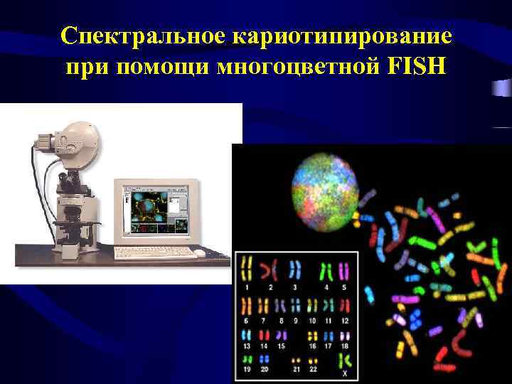 Спектральное кариотипирование при помощи многоцветной FISH 