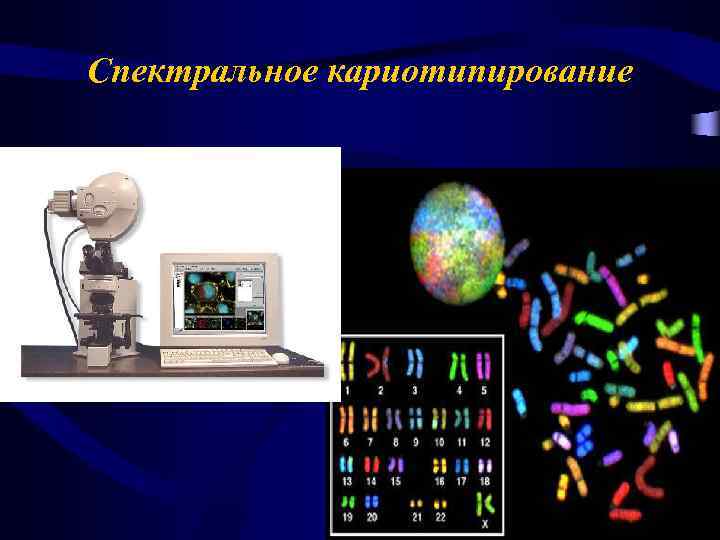 Спектральное кариотипирование 