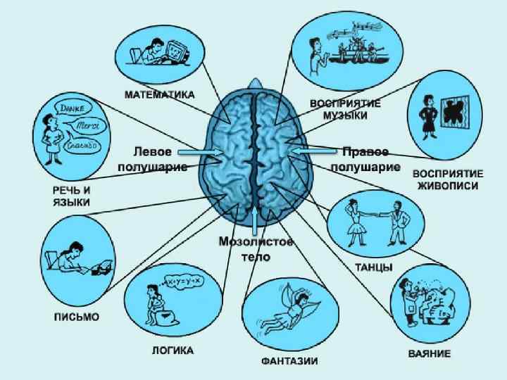 Что такое мышечная память и как она работает