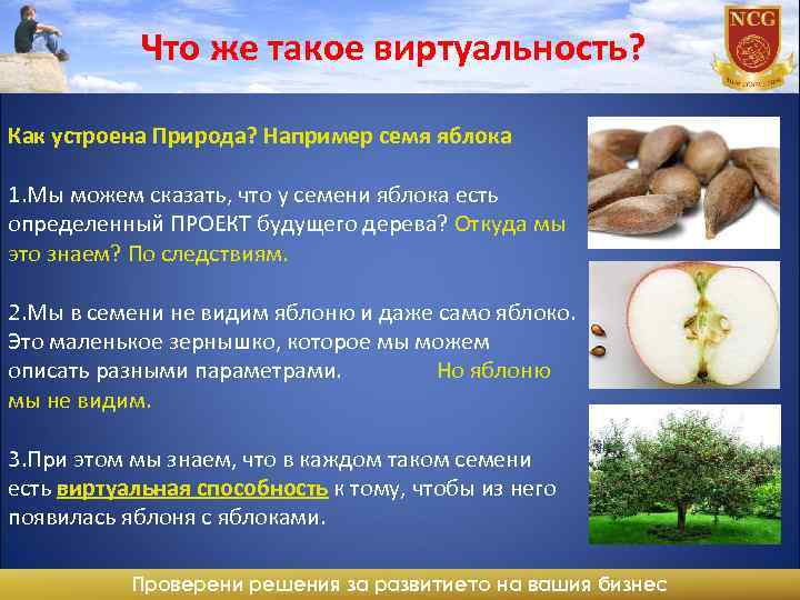 Что же такое виртуальность? Как устроена Природа? Например семя яблока 1. Мы можем сказать,