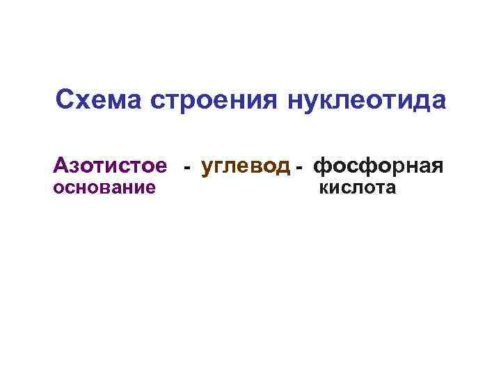 Схема строения нуклеотида Азотистое - углевод - фосфорная основание кислота 