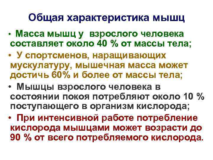 Общая характеристика мышц • Масса мышц у взрослого человека составляет около 40 % от