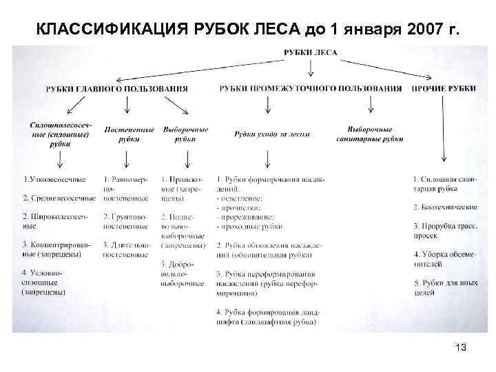 КЛАССИФИКАЦИЯ РУБОК ЛЕСА до 1 января 2007 г. 13 