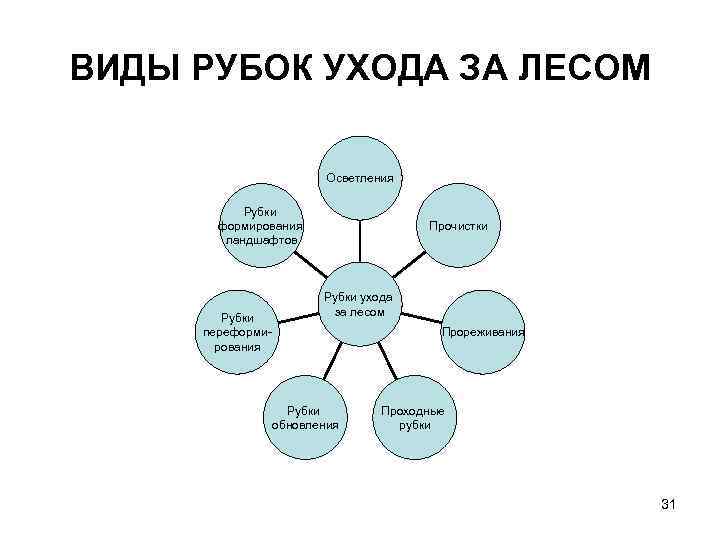 ВИДЫ РУБОК УХОДА ЗА ЛЕСОМ Осветления Рубки формирования ландшафтов Рубки переформи рования Прочистки Рубки