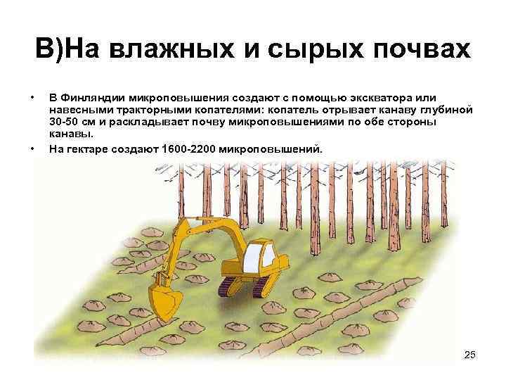 В)На влажных и сырых почвах • • В Финляндии микроповышения создают с помощью экскватора