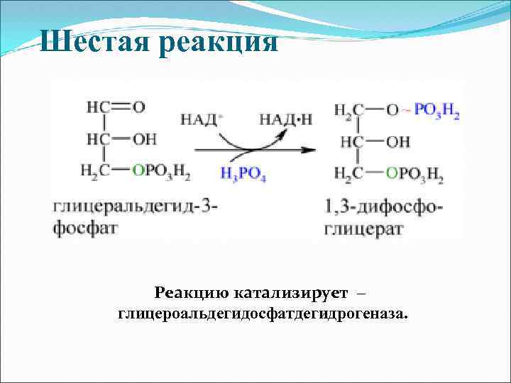 Шесть реакция