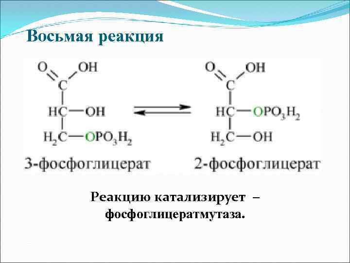 Фосфоглицерр капсулы. 3 фосфоглицератмутаза. Фосфоглицерр капсулы. Фосфоглив форте 96 капсул. Изомеразы реакции.