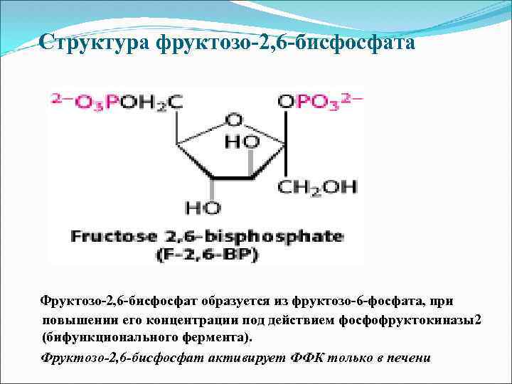 Структура фруктозо-2, 6 -бисфосфата Фруктозо-2, 6 -бисфосфат образуется из фруктозо-6 -фосфата, при повышении его