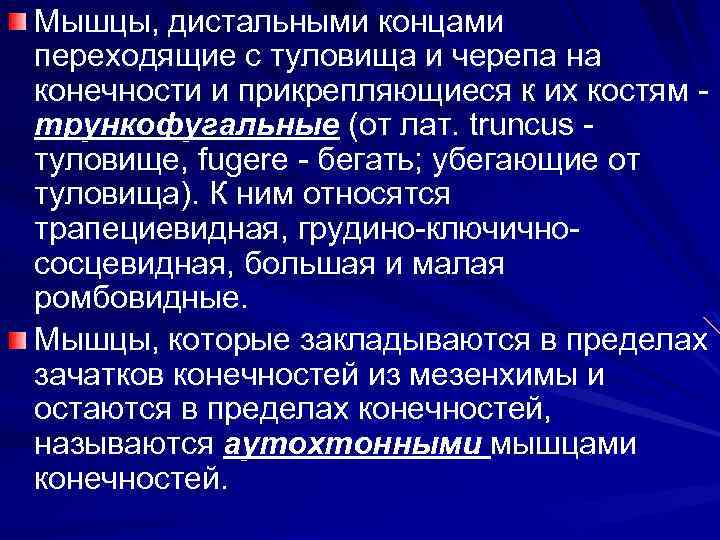 Мышцы, дистальными концами переходящие с туловища и черепа на конечности и прикрепляющиеся к их