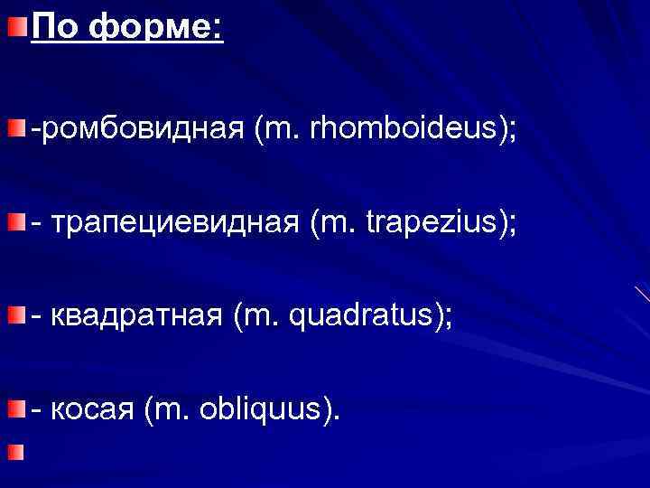 По форме: -ромбовидная (m. rhomboideus); - трапециевидная (m. trapezius); - квадратная (m. quadratus); -