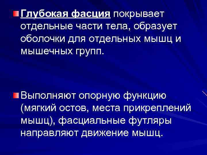 Глубокая фасция покрывает отдельные части тела, образует оболочки для отдельных мышц и мышечных групп.