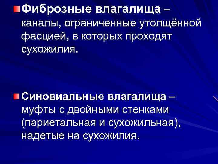 Фиброзные влагалища – каналы, ограниченные утолщённой фасцией, в которых проходят сухожилия. Синовиальные влагалища –