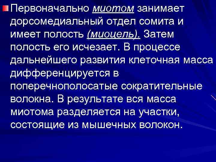 Первоначально миотом занимает дорсомедиальный отдел сомита и имеет полость (миоцель). Затем полость его исчезает.