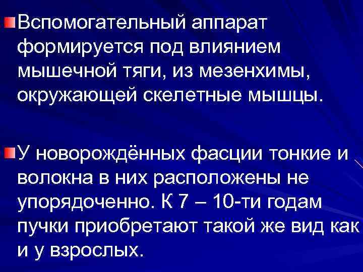 Вспомогательный аппарат формируется под влиянием мышечной тяги, из мезенхимы, окружающей скелетные мышцы. У новорождённых
