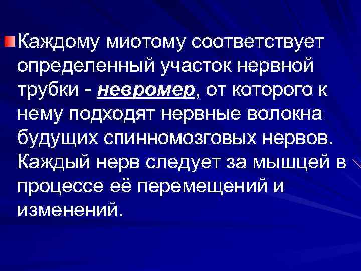 Каждому миотому соответствует определенный участок нервной трубки - невромер, от которого к нему подходят