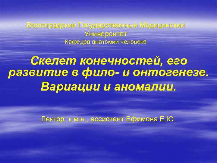 Волгоградский Государственный Медицинский Университет Кафедра анатомии человека Скелет конечностей, его развитие в фило- и