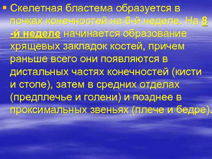 § Скелетная бластема образуется в почках конечностей на 6 -й неделе. На 8 -й