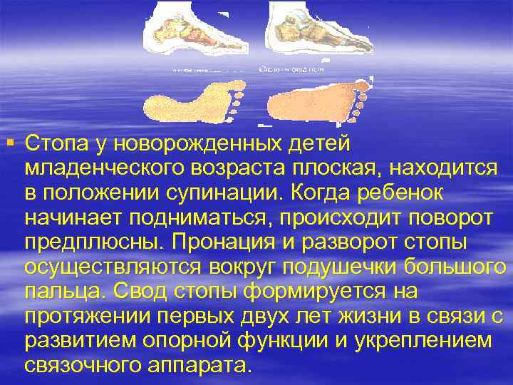 § Стопа у новорожденных детей младенческого возраста плоская, находится в положении супинации. Когда ребенок