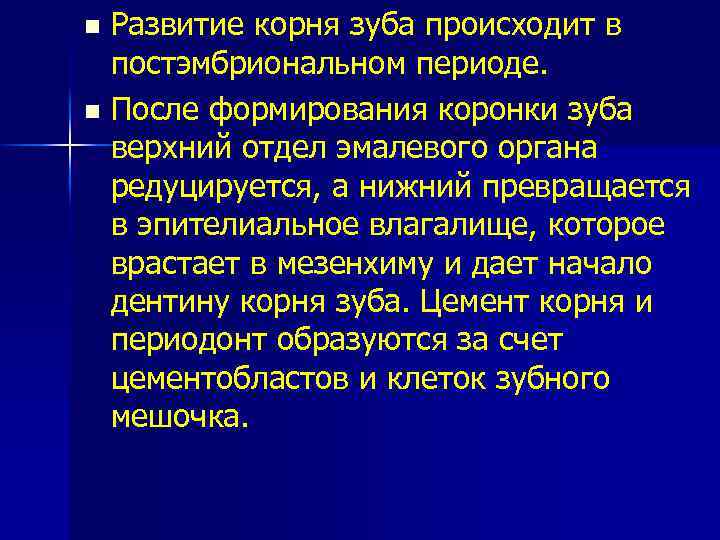 Развитие корня зуба происходит в постэмбриональном периоде. n После формирования коронки зуба верхний отдел