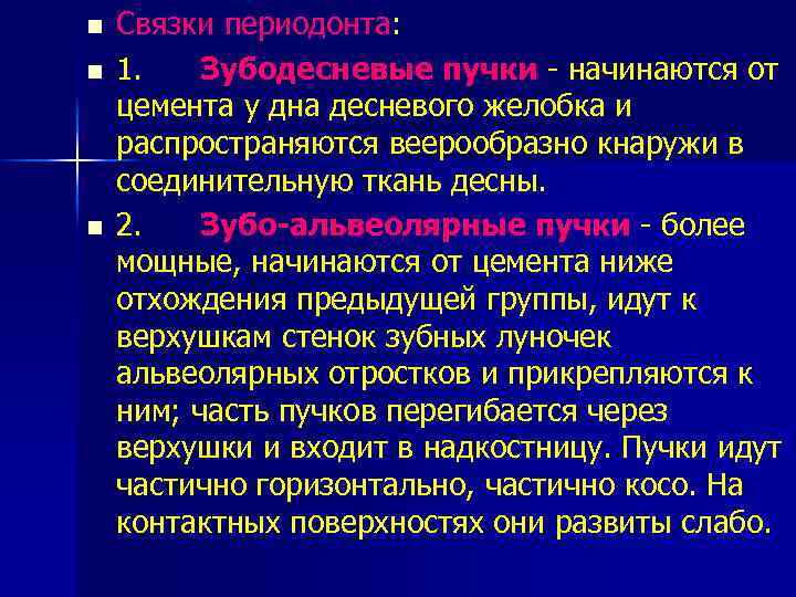 n n n Связки периодонта: 1. Зубодесневые пучки - начинаются от цемента у дна
