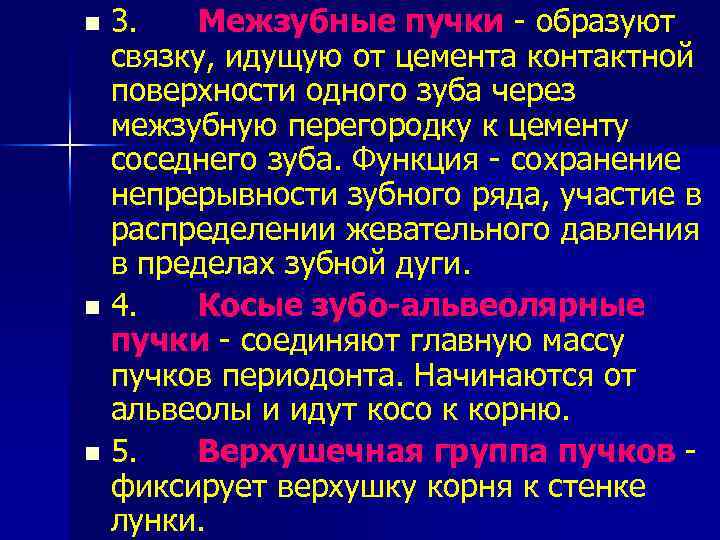 3. Межзубные пучки - образуют связку, идущую от цемента контактной поверхности одного зуба через
