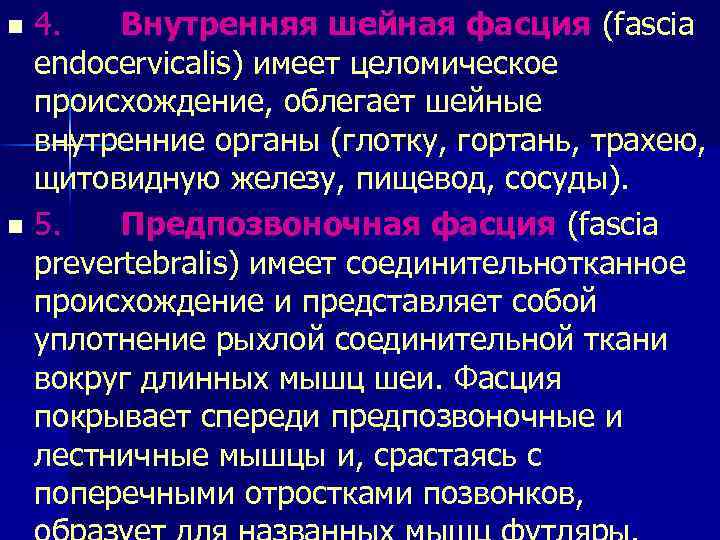 n 4. Внутренняя шейная фасция (fascia endocervicalis) имеет целомическое происхождение, облегает шейные внутренние органы