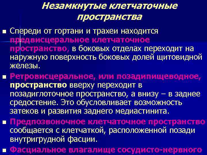  Незамкнутые клетчаточные пространства n Спереди от гортани и трахеи находится предвисцеральное клетчаточное пространство,