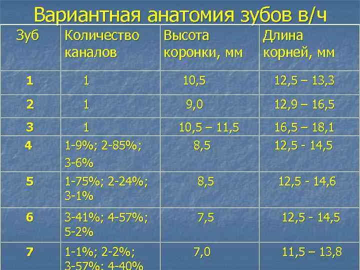 Вариантная анатомия зубов в/ч Зуб Количество каналов Высота коронки, мм Длина корней, мм 1