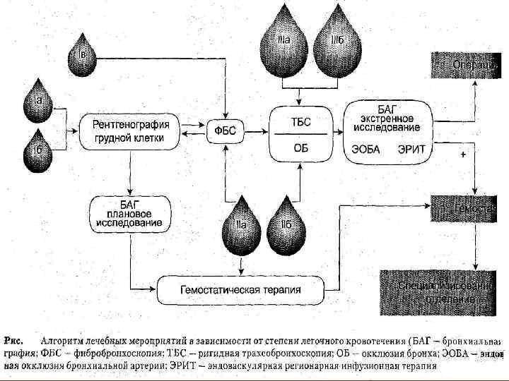 Схема истории болезни по факультетской терапии