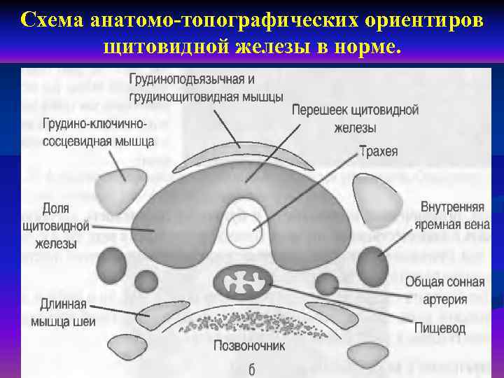 Где находятся схемы