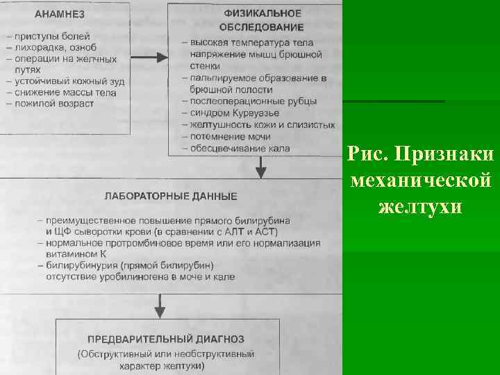 Рис. Признаки механической желтухи 