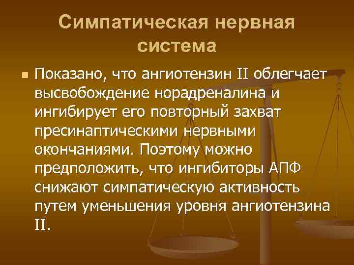 Симпатическая нервная система n Показано, что ангиотензин II облегчает высвобождение норадреналина и ингибирует его
