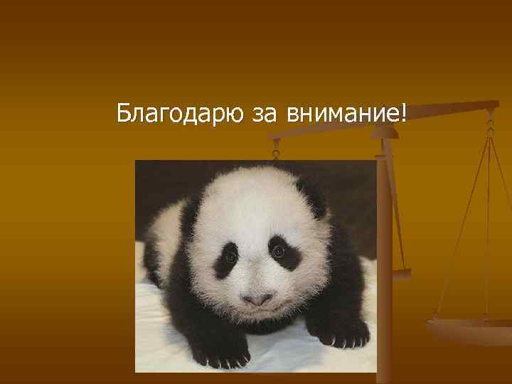 Благодарю за внимание! 