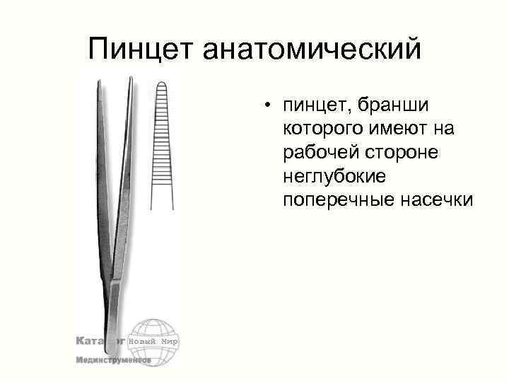 Пинцет анатомический • пинцет, бранши которого имеют на рабочей стороне неглубокие поперечные насечки 