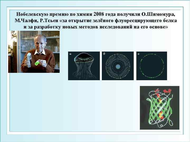 Нобелевскую премию по химии 2008 года получили О. Шимомура, М. Чалфи, Р. Тсьен «за