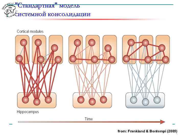 "Стандартная" модель системной консолидации from: Frankland & Bontempi (2005) 