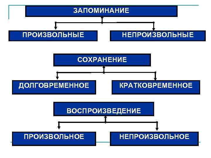 ЗАПОМИНАНИЕ ПРОИЗВОЛЬНЫЕ НЕПРОИЗВОЛЬНЫЕ СОХРАНЕНИЕ ДОЛГОВРЕМЕННОЕ КРАТКОВРЕМЕННОЕ ВОСПРОИЗВЕДЕНИЕ ПРОИЗВОЛЬНОЕ НЕПРОИЗВОЛЬНОЕ 