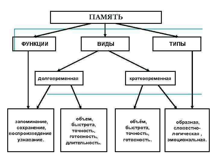 ПАМЯТЬ ФУНКЦИИ ВИДЫ долговременная запоминание, сохранение, воспроизведение узнавание. объем, быстрота, точность, готовность, длительность. ТИПЫ