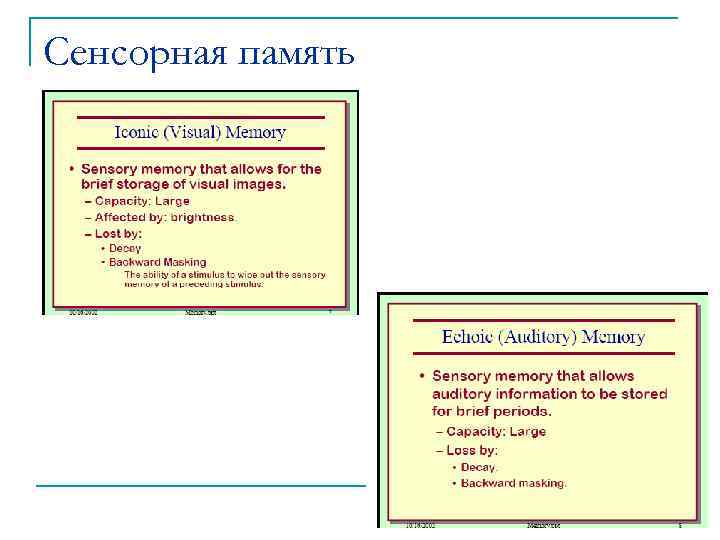 Сенсорная память 