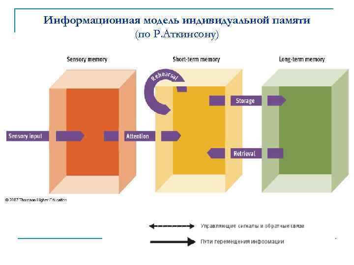 Информационная модель индивидуальной памяти (по Р. Аткинсону) 