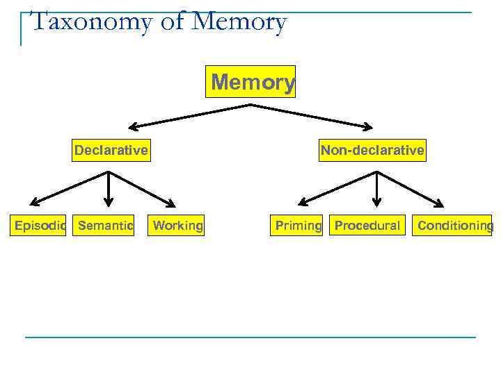 Taxonomy of Memory Declarative Episodic Semantic Non-declarative Working Priming Procedural Conditioning 