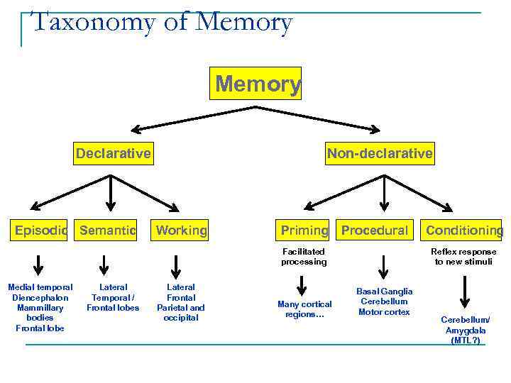 Taxonomy of Memory Declarative Episodic Semantic Non-declarative Working Priming Procedural Facilitated processing Medial temporal