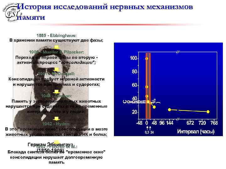 История исследований нервных механизмов памяти 1885 - Еbbinghaus: В хранении памяти существуют две фазы;
