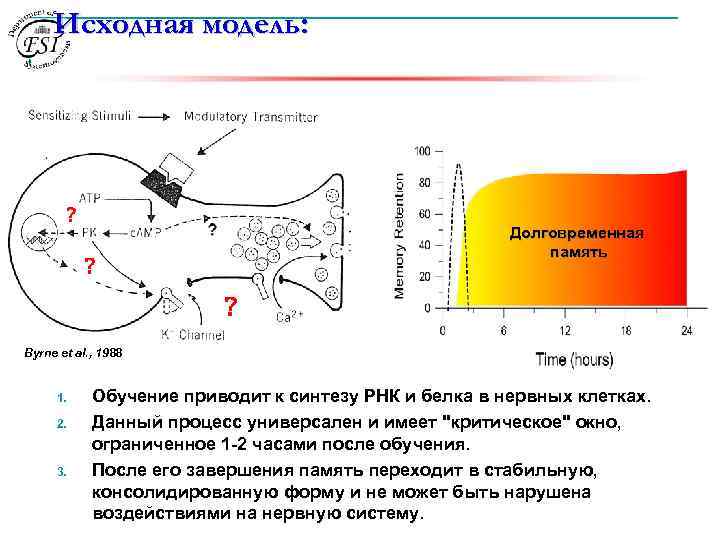 Исходная модель: ? Долговременная память ? ? Byrne et al. , 1988 1. 2.
